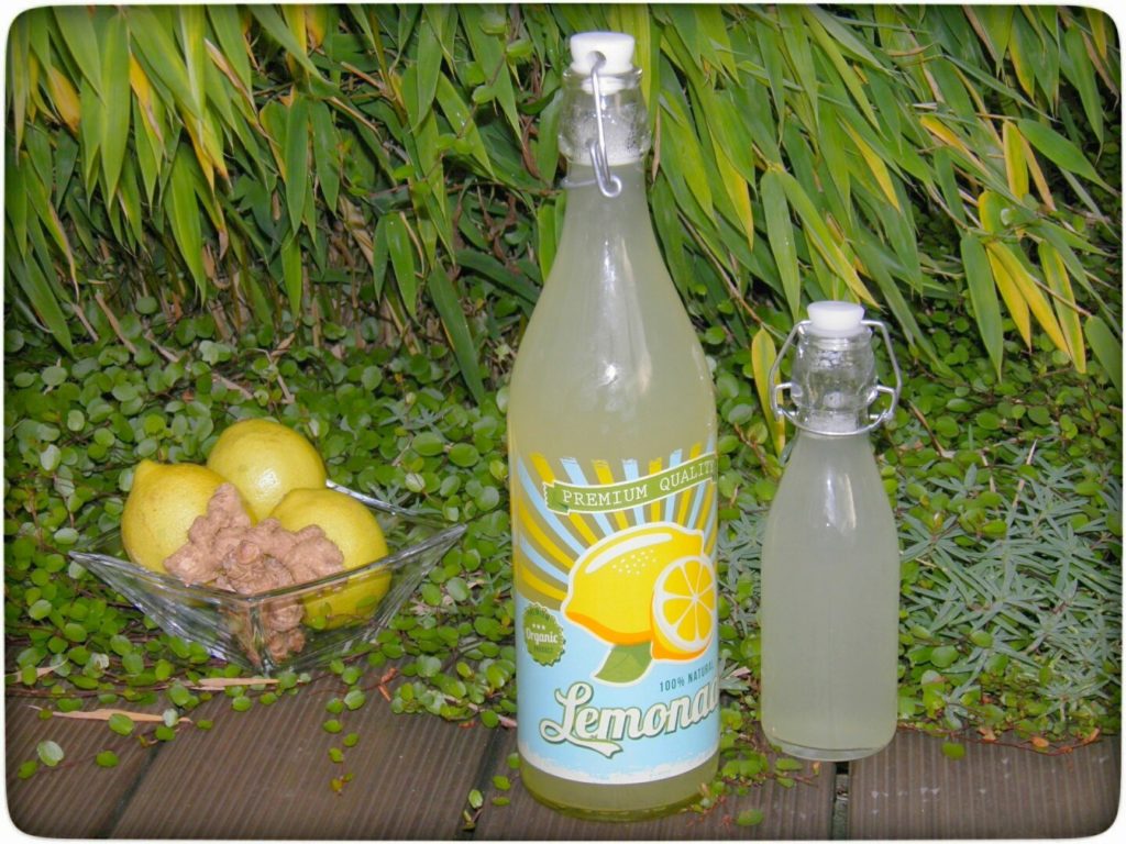 Zitronen-Ingwer-Wasser - Immun-Booster für die kalte Jahreszeit