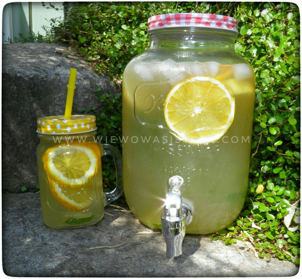 Zitronenlimonade...frisch, lecker und gerne zuckerfrei - Wiewowasistgut