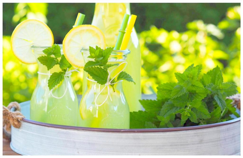 Zitronenmelissen-Ingwer-Limonade-mein-kleiner-Bio-Garten-von-real