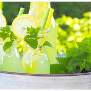 Zitronenmelissen-Ingwer-Limonade-mein-kleiner-Bio-Garten-von-real