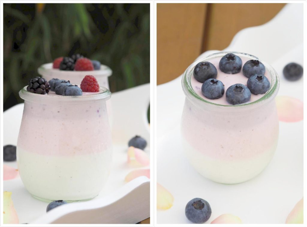 fruchtiges-joghurt-dessert-thermomix-in-3-farben