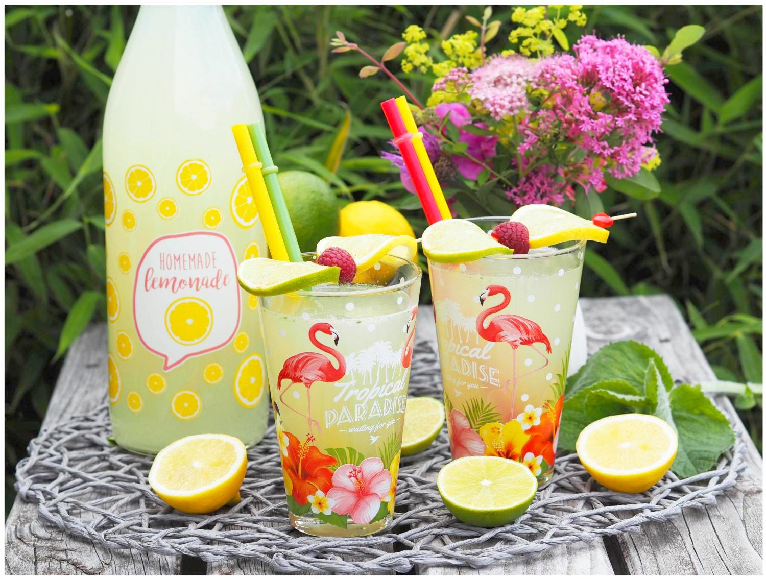 Gekuhlte Erfrischung Im Sommer Spritzige Zitronen Minz Limonade Wiewowasistgut Com