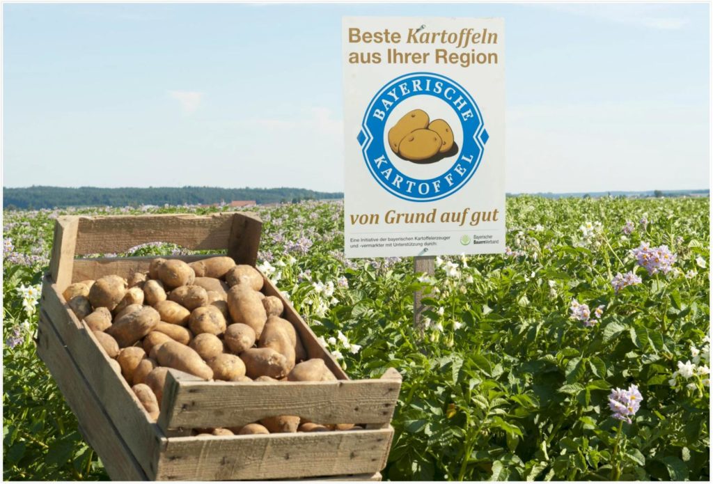 hasselback-kartoffeln-tomatensosse-bayerische-kartoffel hasselback-kartoffeln-tomatensosse-bayerische-kartoffel