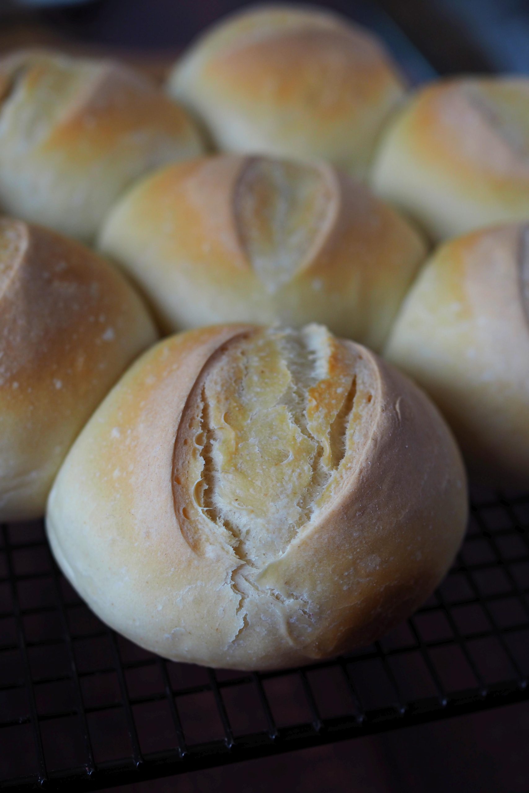 Einfache Joghurt-Dinkelbrötchen