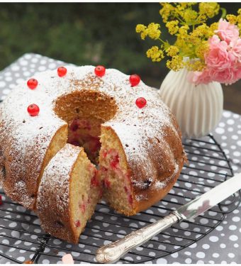 johannisbeer-guglhupf-mit-kokosraspeln-amaretto