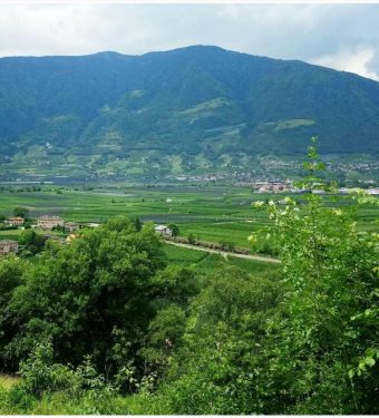 lana-suedtirol-mediterranes-flair-trifft-auf-gruene-wiesen-berge