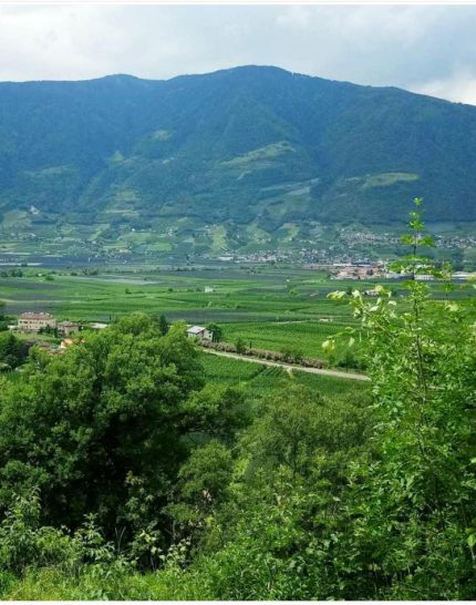 lana-suedtirol-mediterranes-flair-trifft-auf-gruene-wiesen-berge