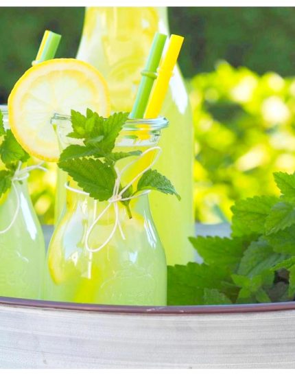 Zitronenmelissen-Ingwer-Limonade-mein-kleiner-Bio-Garten-von-real