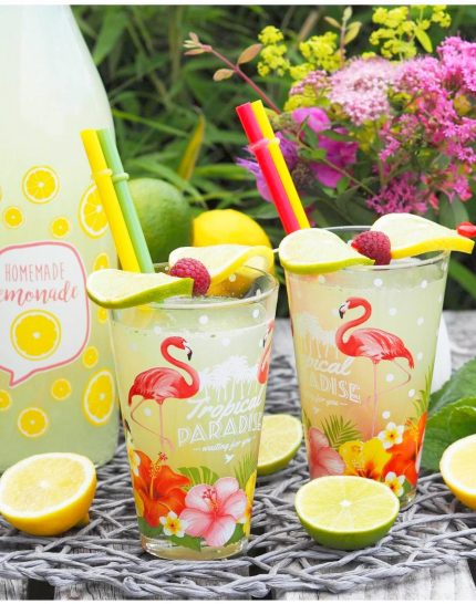 zitronen-minz-limonade-roemerquelle